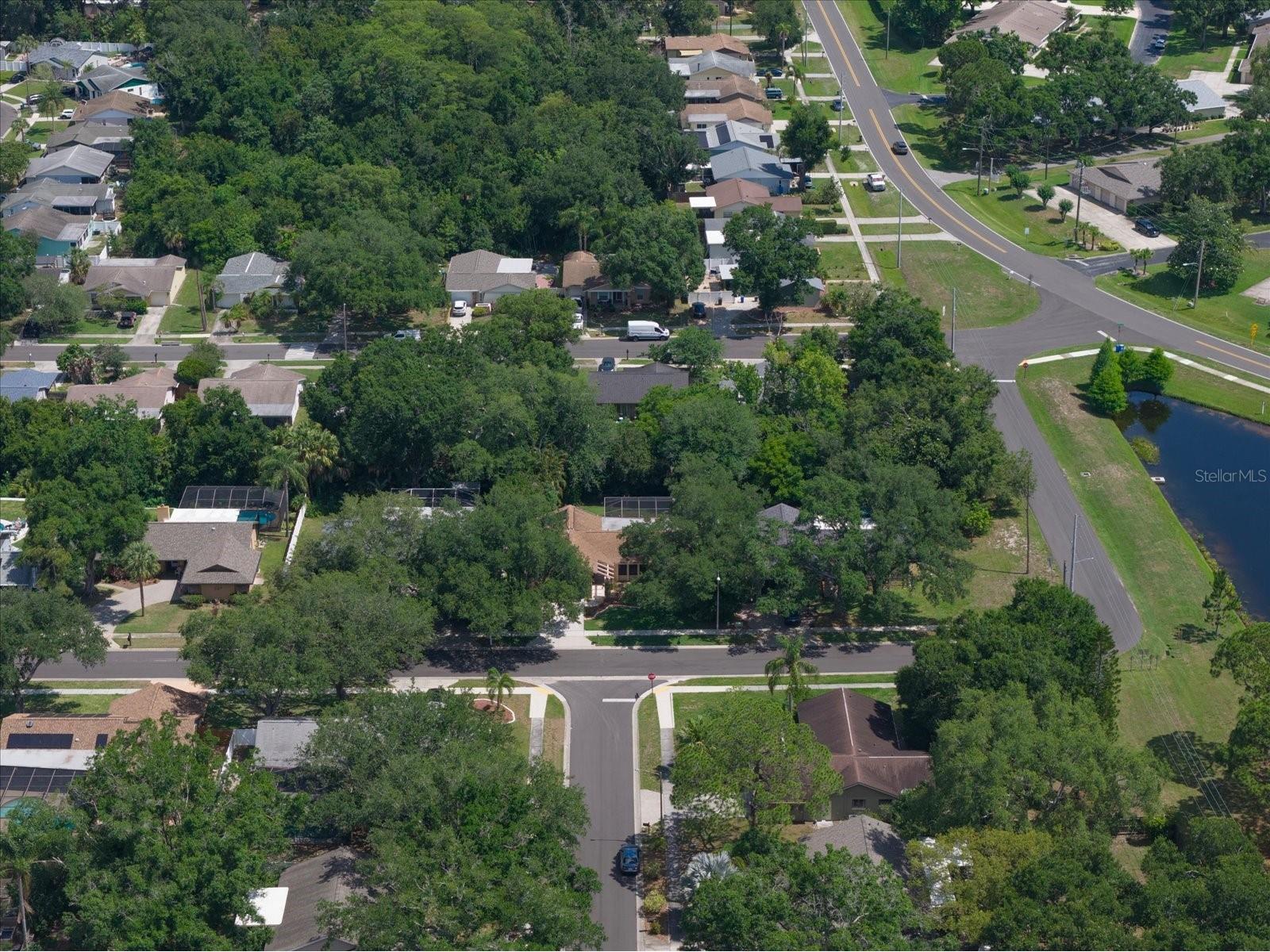 3171 Oak View Drive Palm Harbor FL 34684 TB8511969 image50