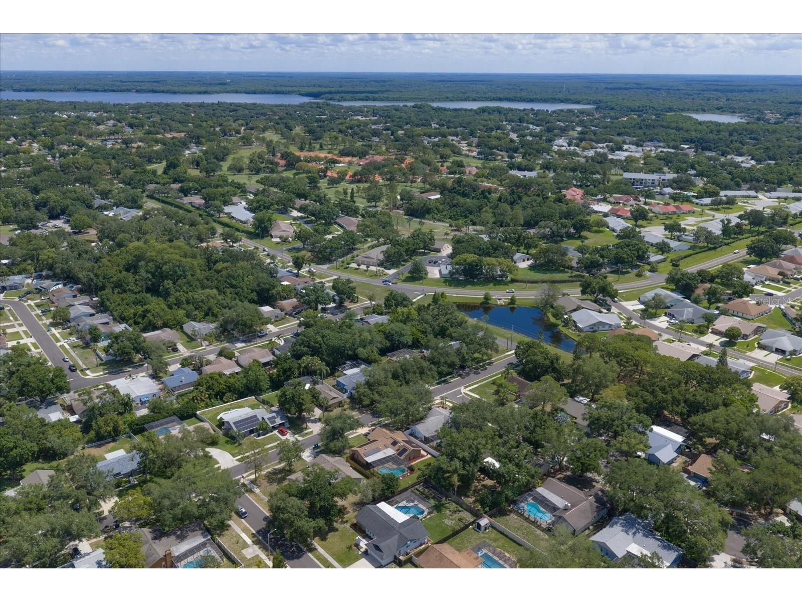 3171 Oak View Drive Palm Harbor FL 34684 TB8511969 image51