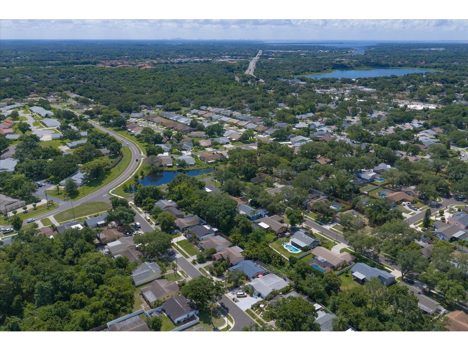 3171 Oak View Drive Palm Harbor FL 34684 TB8511969 image52