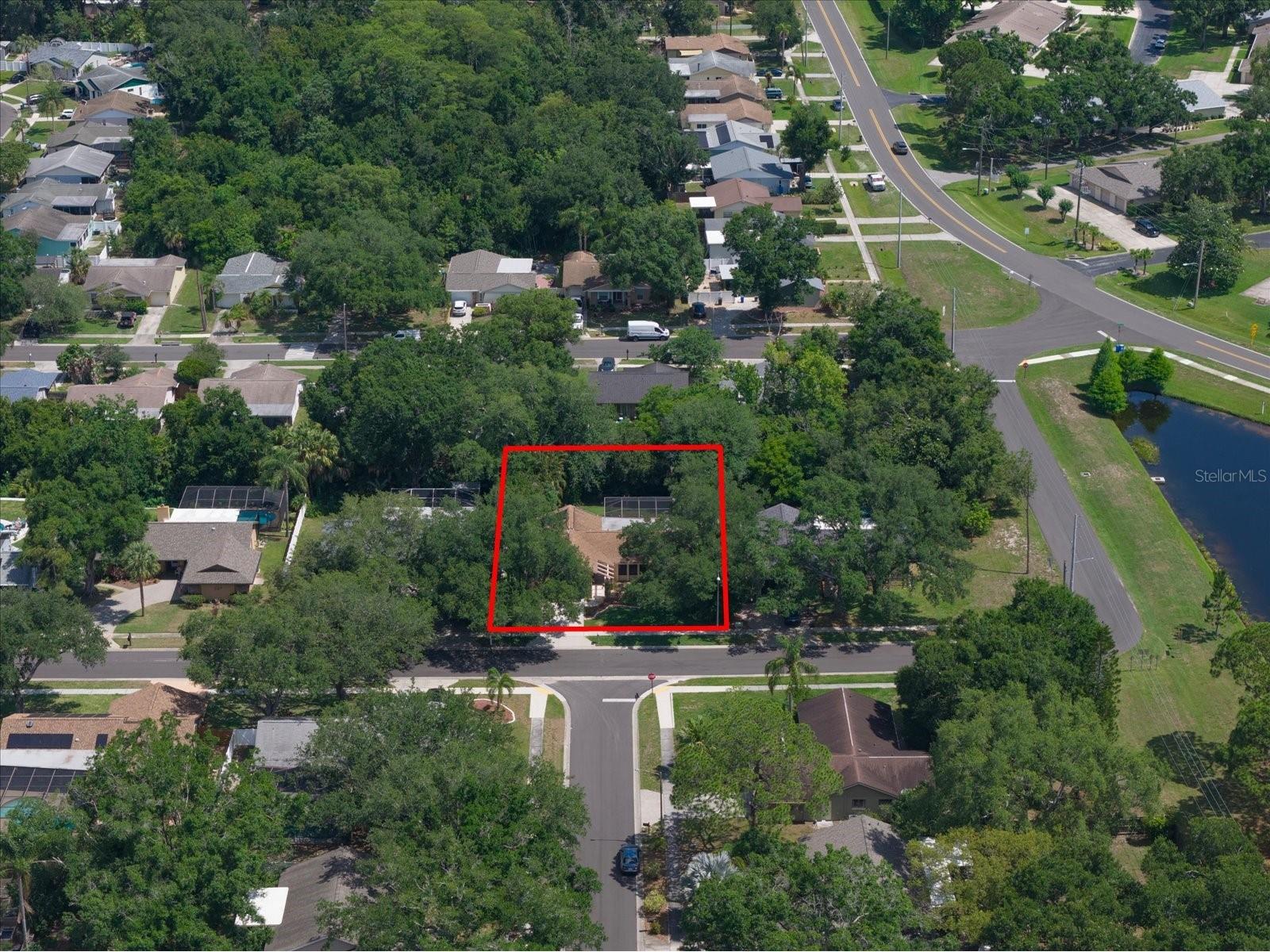 3171 Oak View Drive Palm Harbor FL 34684 TB8511969 image53