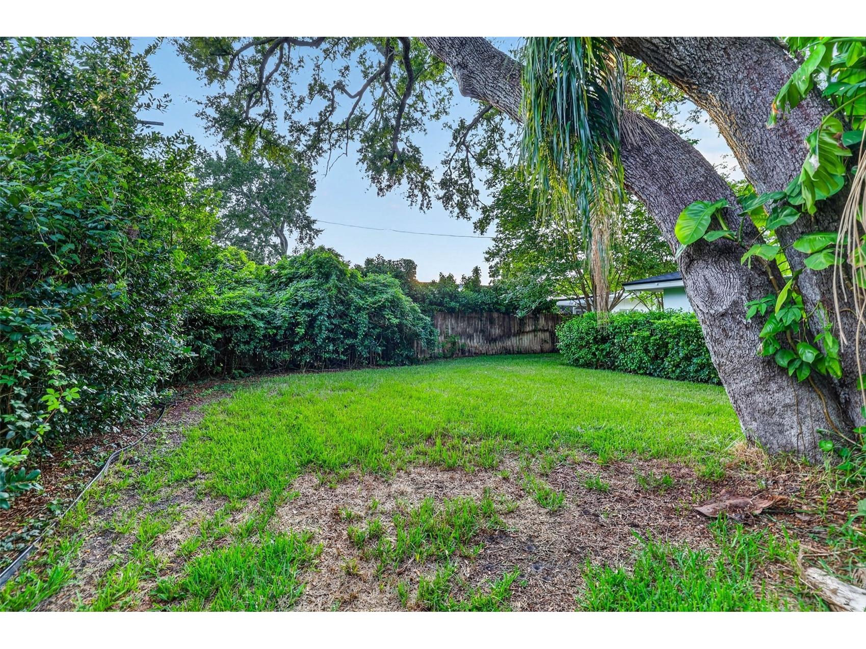 3171 San Pedro Street Clearwater FL 33759 TB8520973 image31