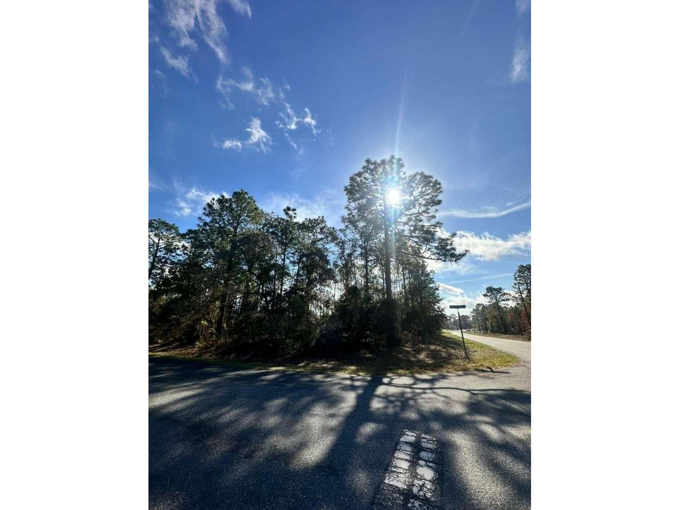 3171 W Randolph Lane Citrus Springs FL 34433 O6413433 image2
