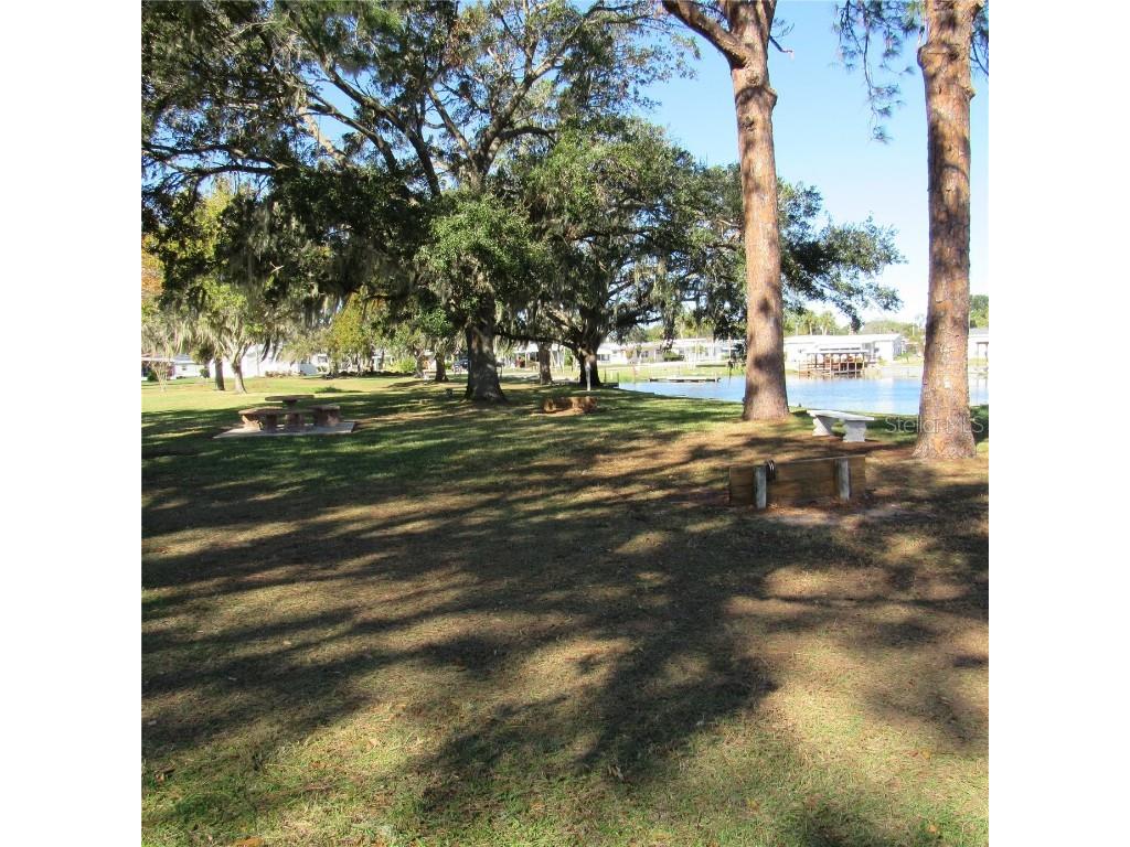 31715 Clayton Street Tavares FL 32778 G5090281 image61