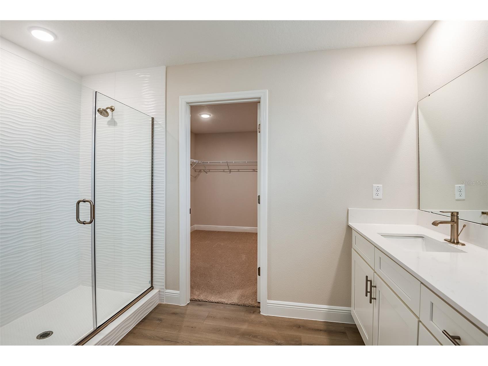 31717 Bienville Lane Wesley Chapel FL 33545 TB8489719 image23