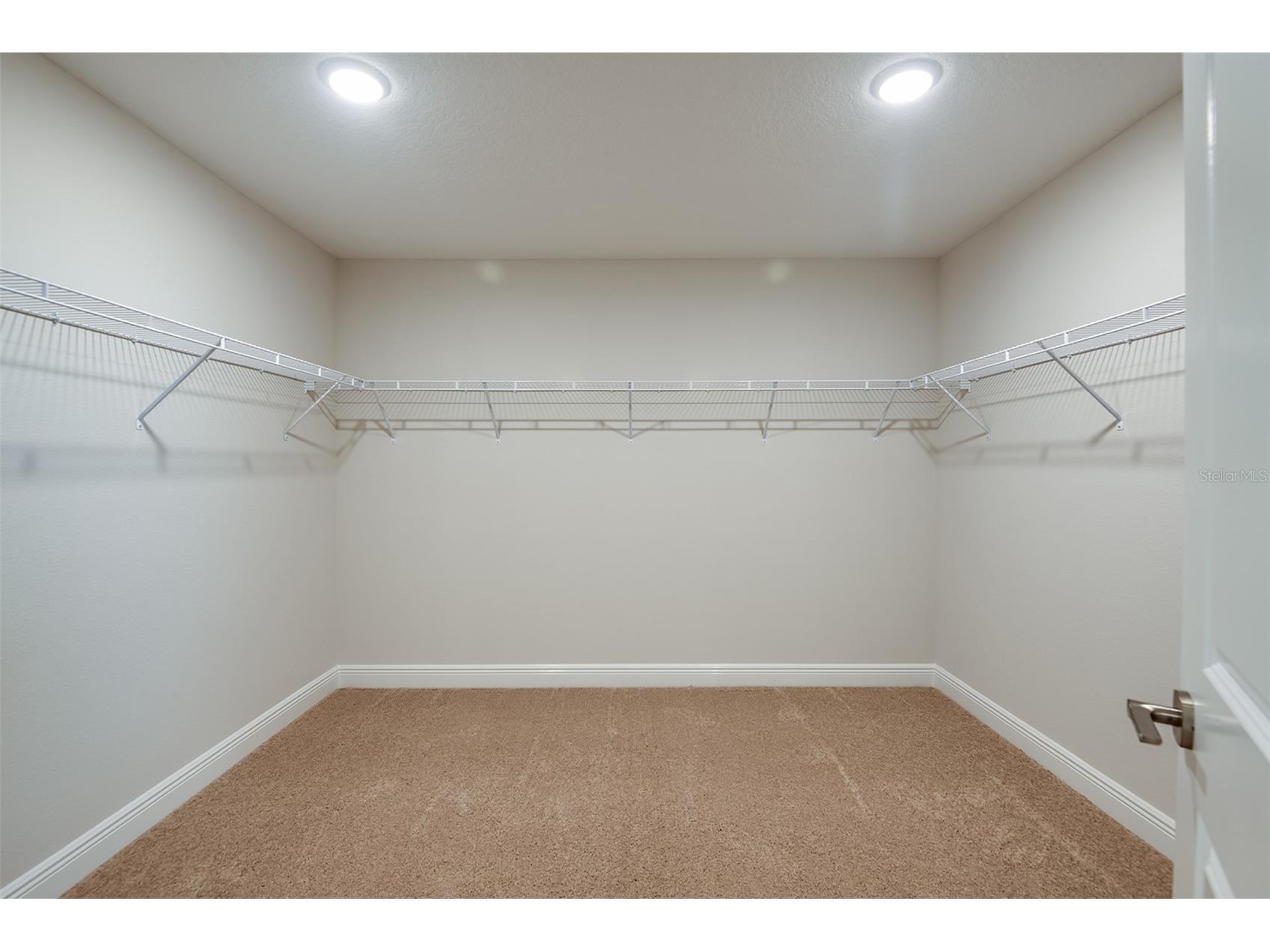 31717 Bienville Lane Wesley Chapel FL 33545 TB8489719 image24