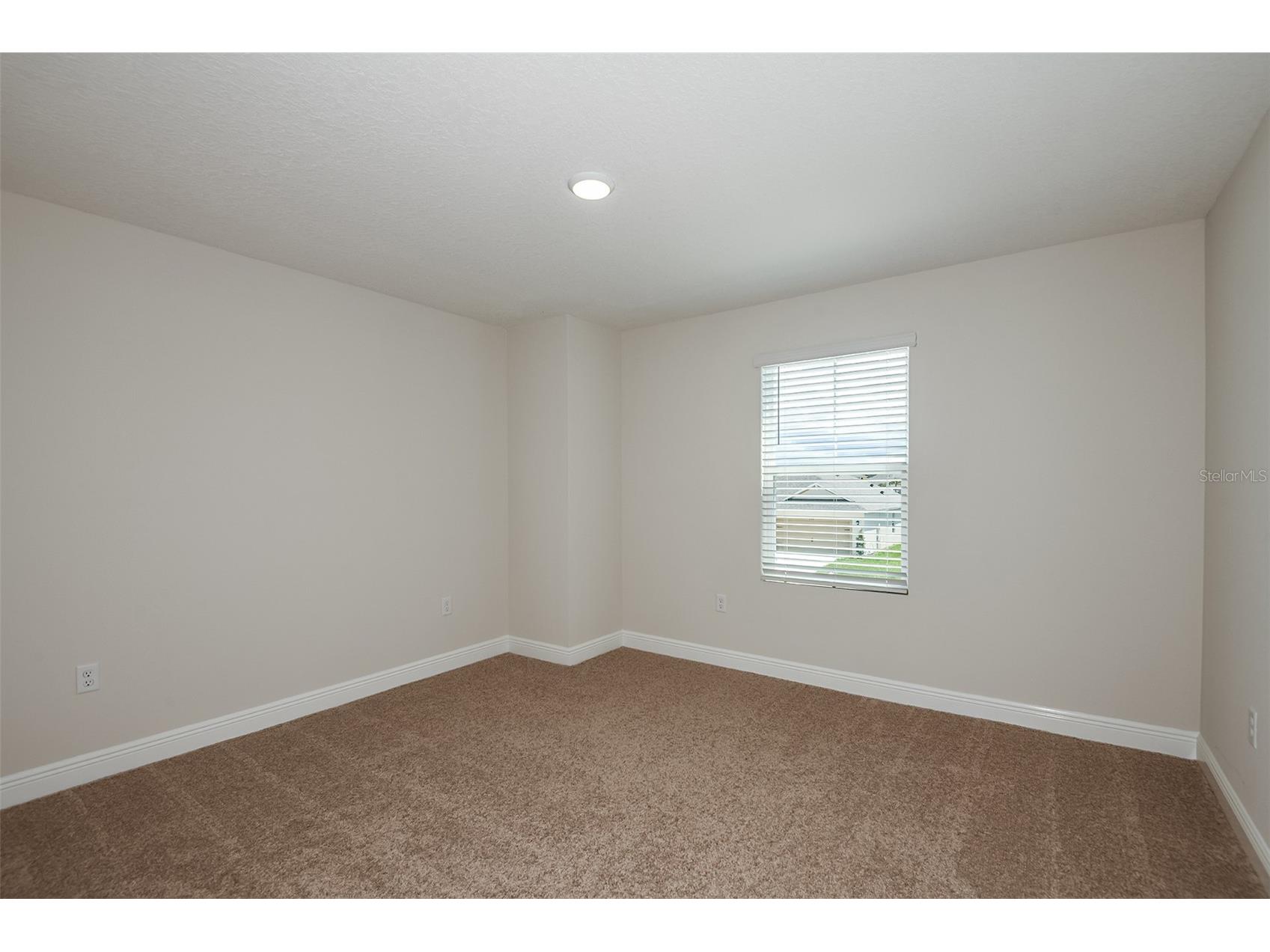 31717 Bienville Lane Wesley Chapel FL 33545 TB8489719 image26