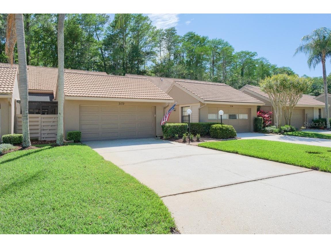 3172 Windmoor Drive N Palm Harbor FL 34685 U8238134 image1