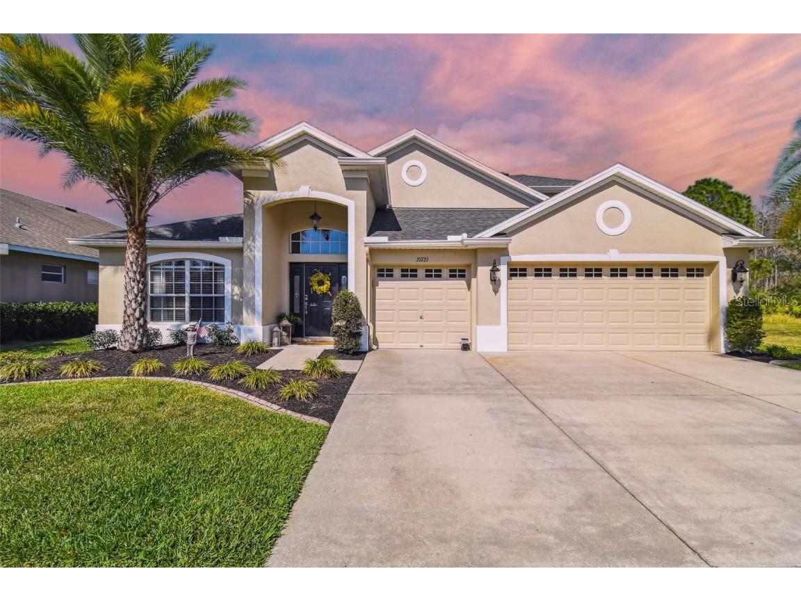 31721 Holcomb Pass Wesley Chapel FL 33543 T3430950 image1