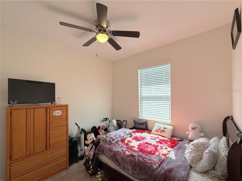 31724 Broadwater Avenue Leesburg FL 34748 O6355104 image12