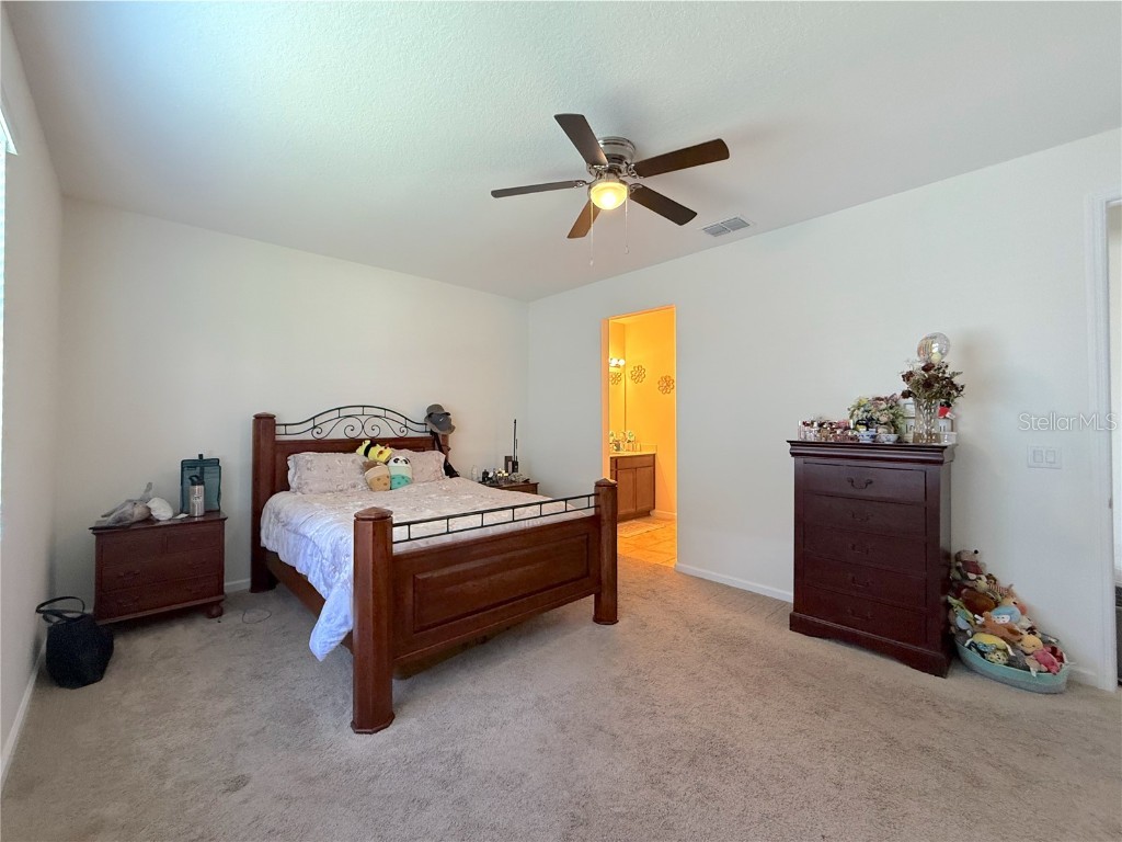 31724 Broadwater Avenue Leesburg FL 34748 O6355104 image9