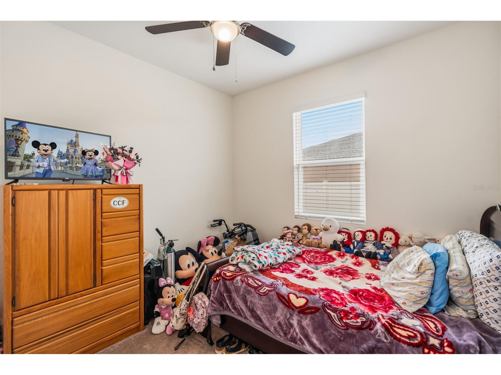 31724 Broadwater Avenue Leesburg FL 34748 O6413942 image11