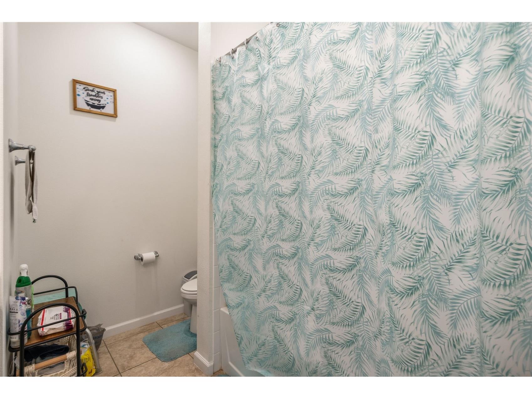 31724 Broadwater Avenue Leesburg FL 34748 O6413942 image15