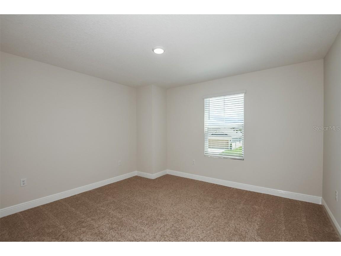 31724 Chateau Manor Lane Wesley Chapel FL 33545 TB8445326 image26