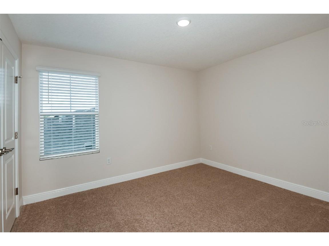 31724 Chateau Manor Lane Wesley Chapel FL 33545 TB8445326 image29