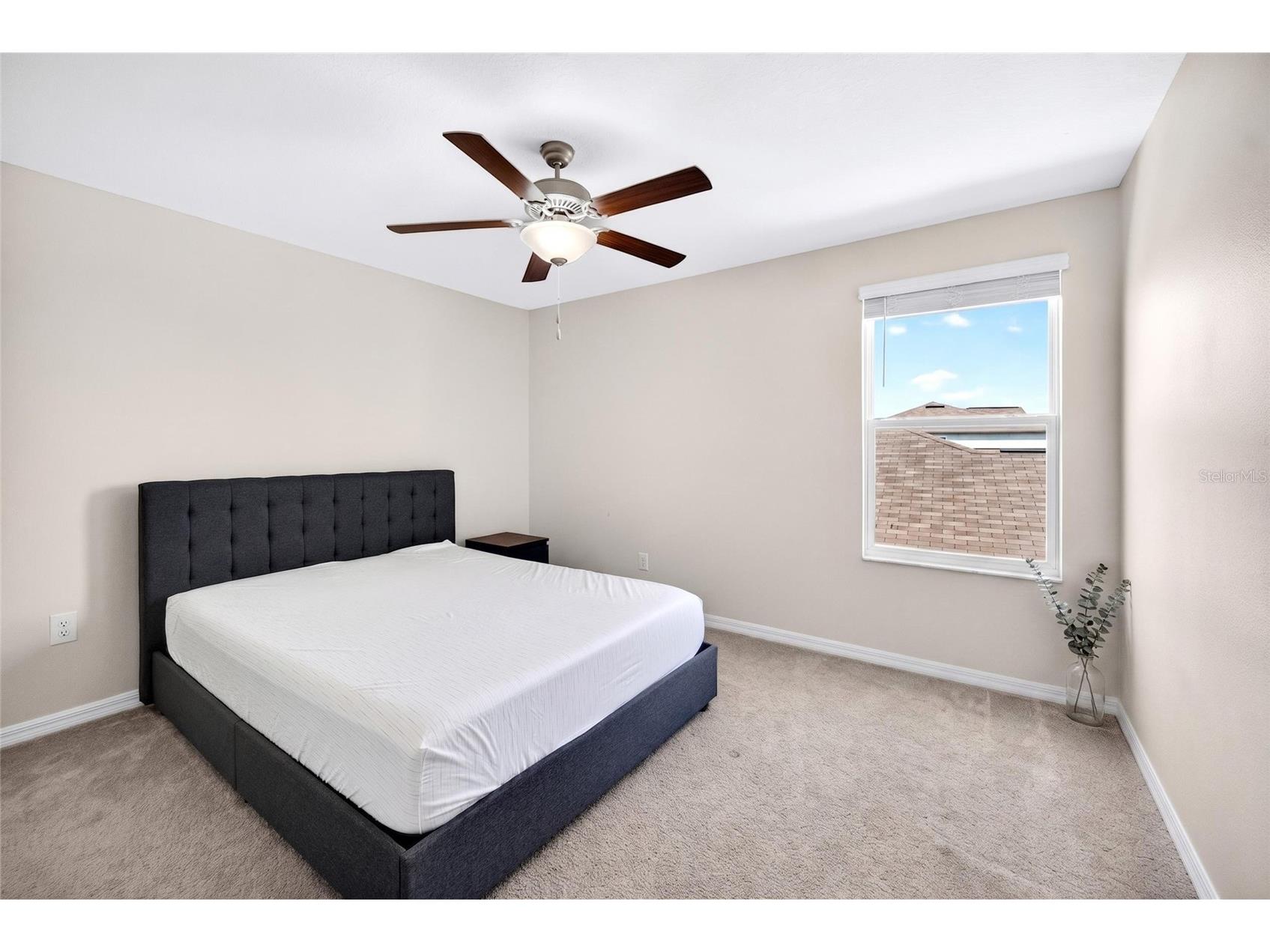 31724 Sun Kettle Loop Wesley Chapel FL 33545 TB8518035 image32