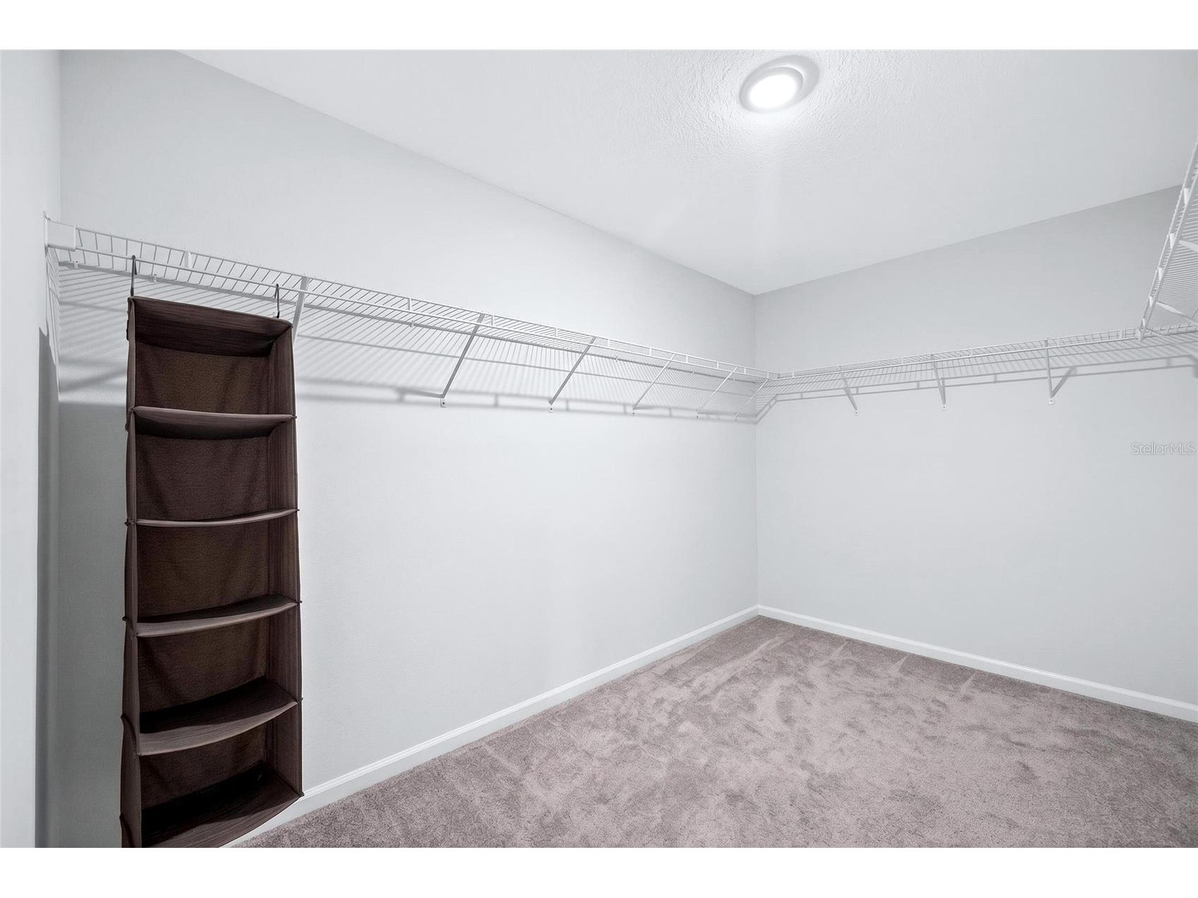 31724 Sun Kettle Loop Wesley Chapel FL 33545 TB8518035 image38