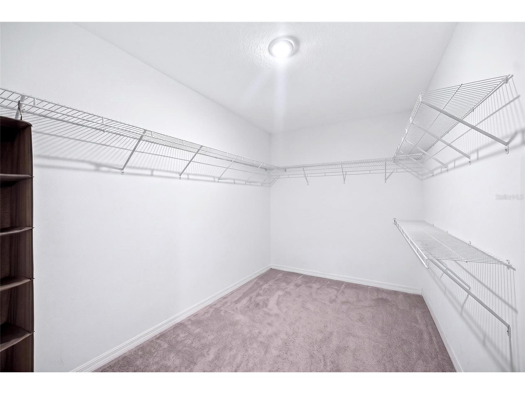 31724 Sun Kettle Loop Wesley Chapel FL 33545 TB8518035 image39