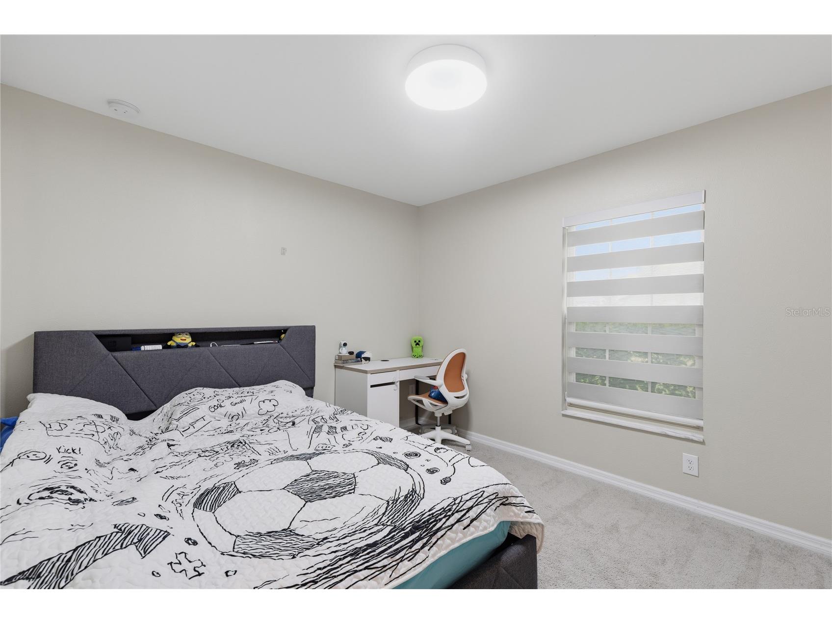 31730 Sun Kettle Loop Wesley Chapel FL 33545 TB8526081 image18