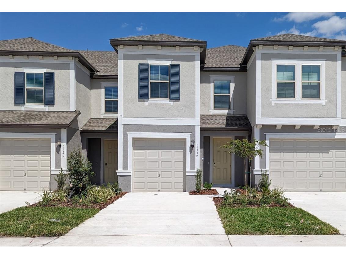 31736 Blue Passing Loop Wesley Chapel FL 33545 T3435551 image1