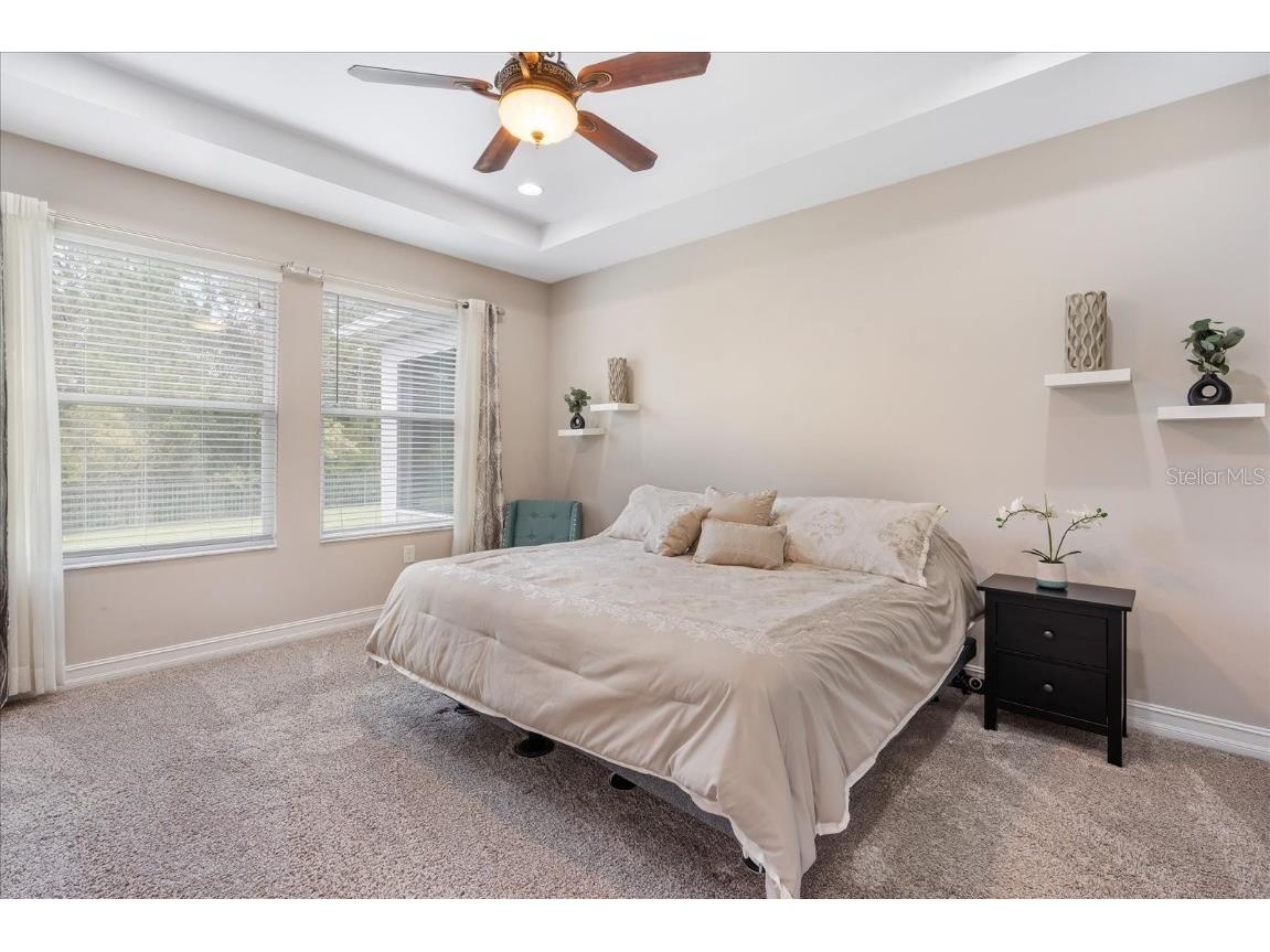 31737 Fairhill Drive Wesley Chapel FL 33543 TB8447093 image16