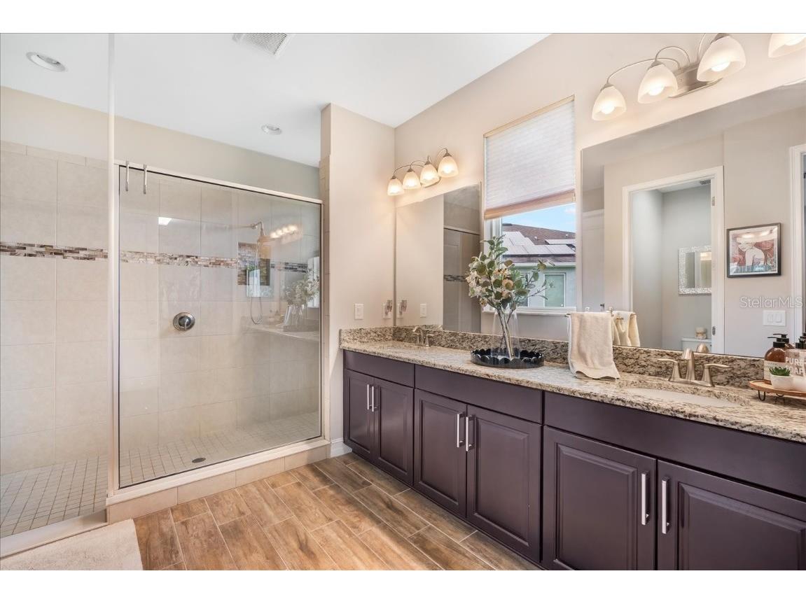 31737 Fairhill Drive Wesley Chapel FL 33543 TB8447093 image17