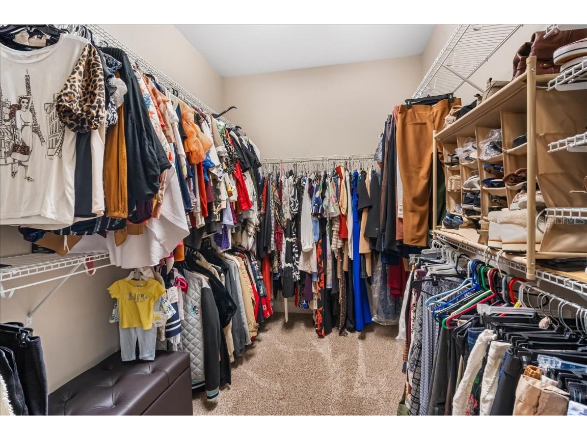 31737 Fairhill Drive Wesley Chapel FL 33543 TB8447093 image18