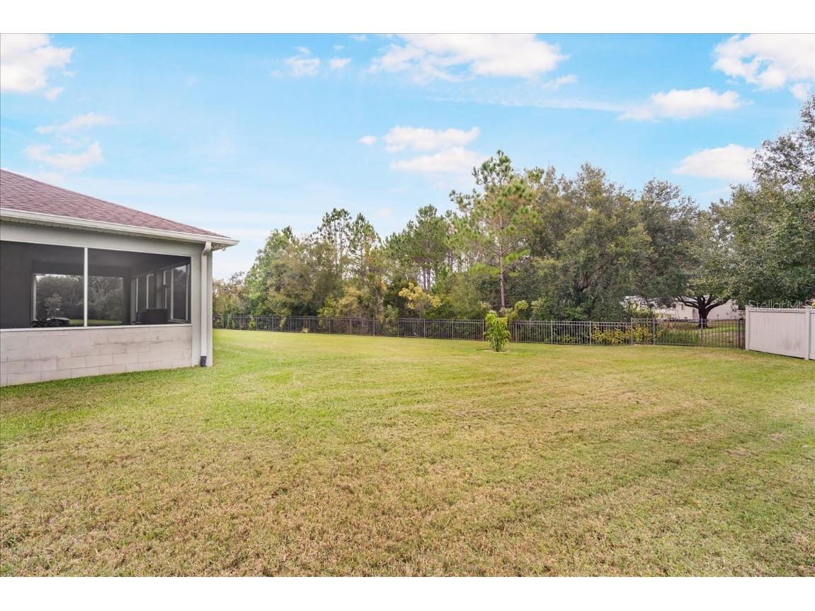 31737 Fairhill Drive Wesley Chapel FL 33543 TB8447093 image26