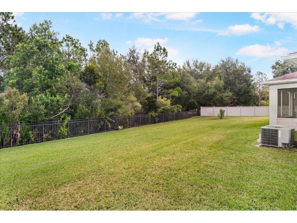 31737 Fairhill Drive Wesley Chapel FL 33543 TB8447093 image30