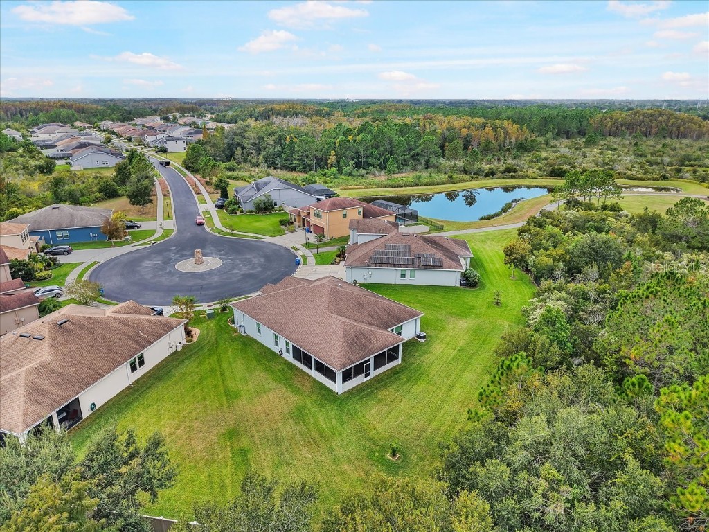 31737 Fairhill Drive Wesley Chapel FL 33543 TB8447093 image32