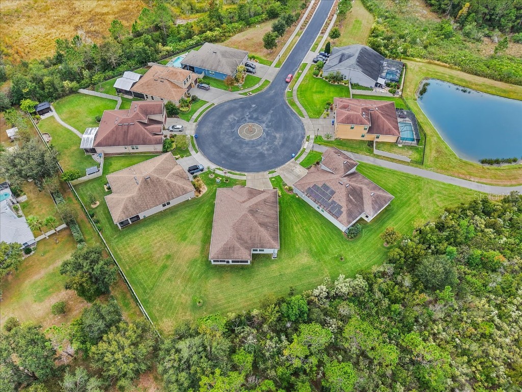 31737 Fairhill Drive Wesley Chapel FL 33543 TB8447093 image33