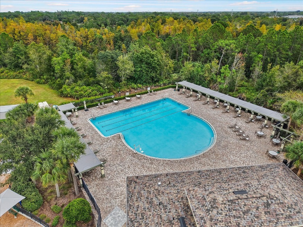 31737 Fairhill Drive Wesley Chapel FL 33543 TB8447093 image34