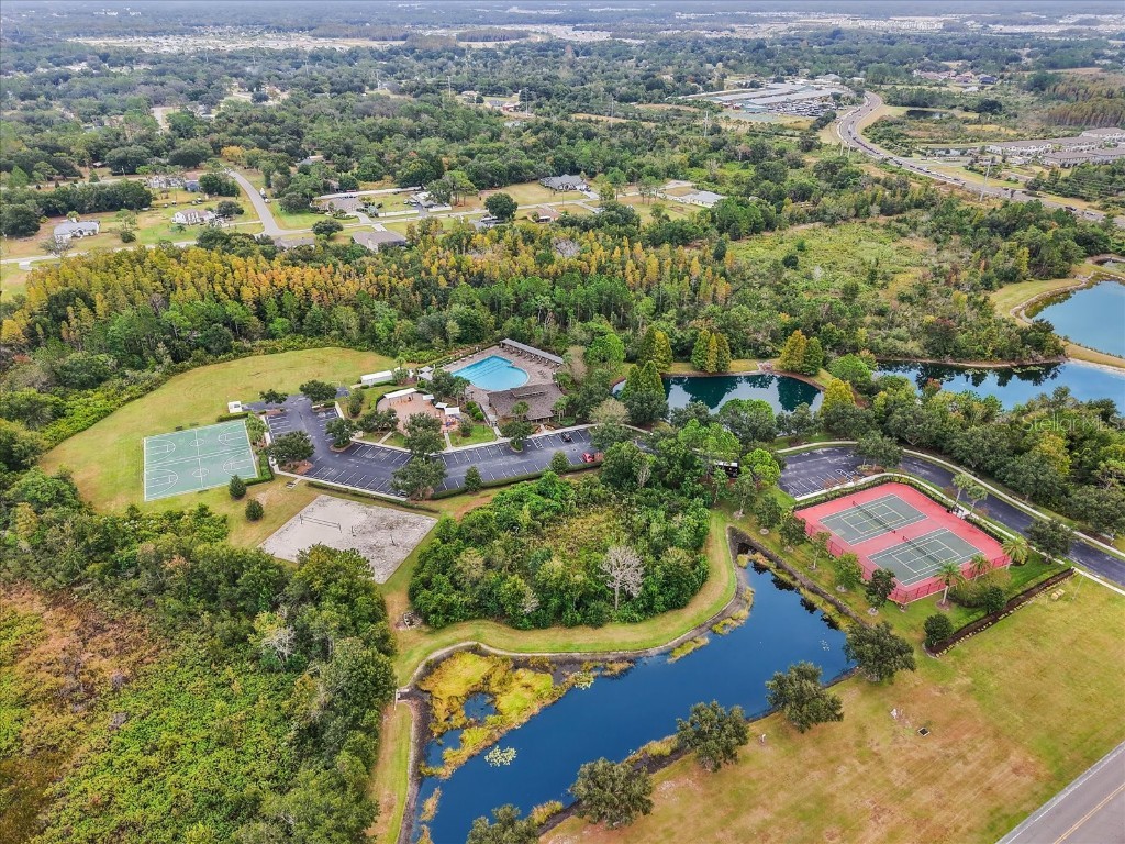 31737 Fairhill Drive Wesley Chapel FL 33543 TB8447093 image39