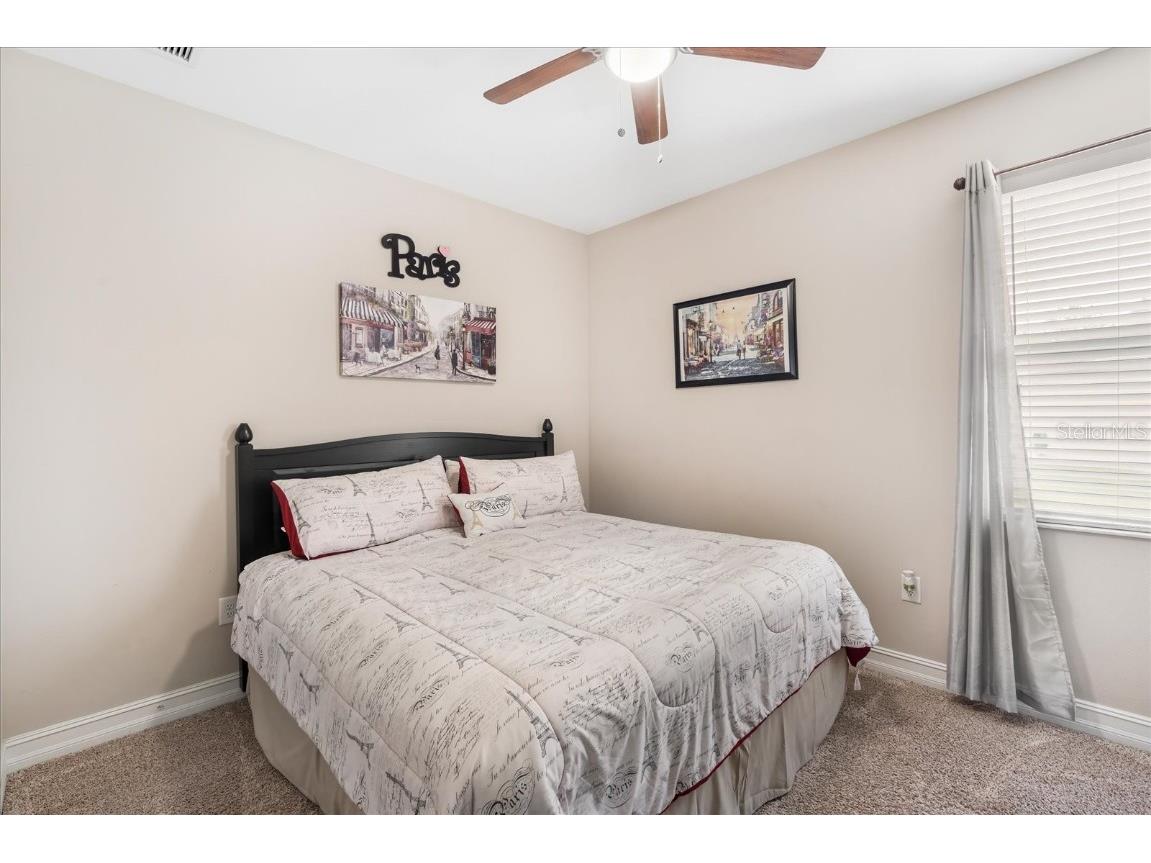 31737 Fairhill Drive Wesley Chapel FL 33543 TB8447093 image9