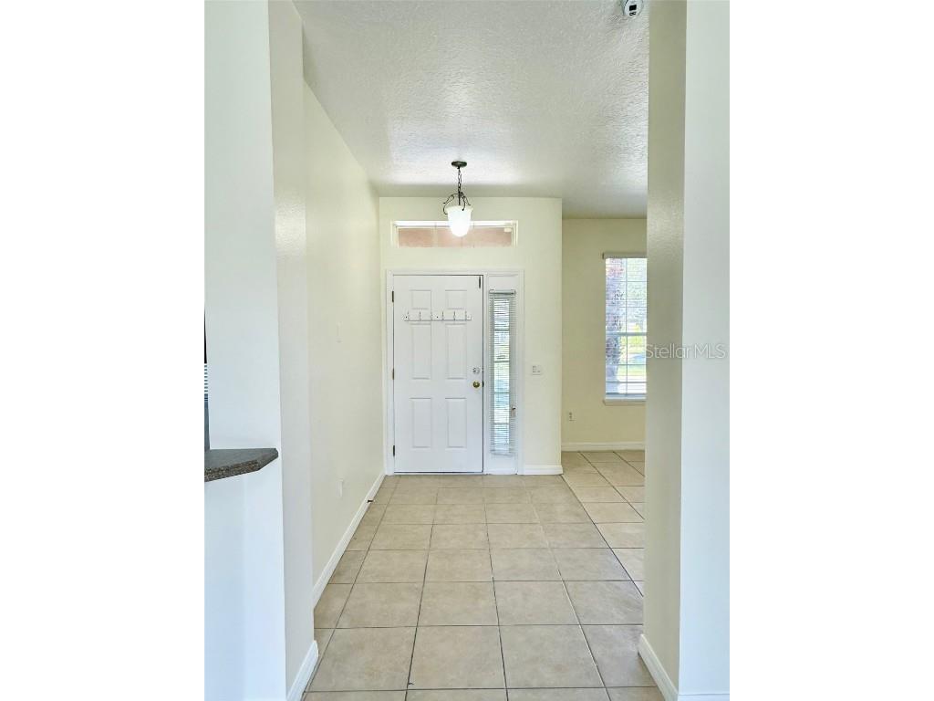 3174 Grasmere View Parkway Kissimmee FL 34746 O6335877 image3