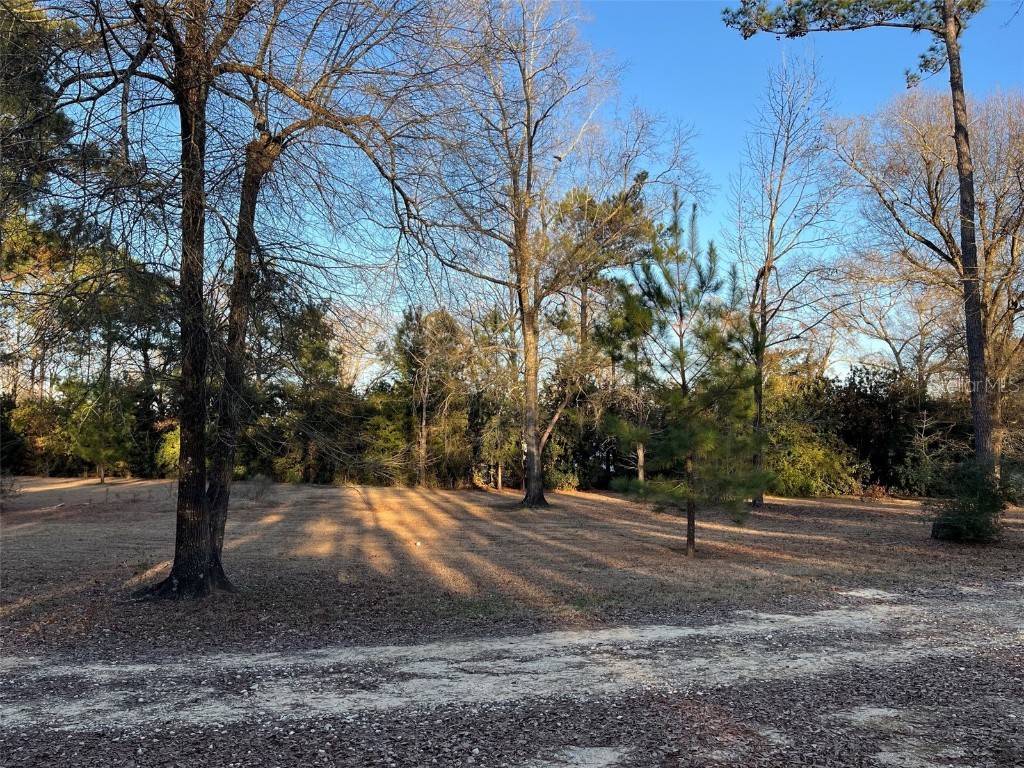 3174 Westwood Dr Marianna FL 32446 TB8445425 image12