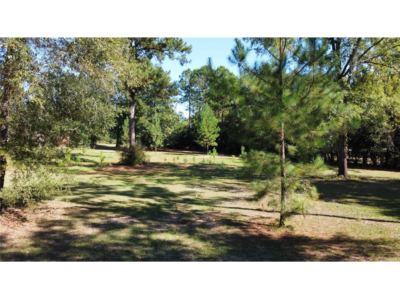 3174 Westwood Dr Marianna FL 32446 TB8445425 image15