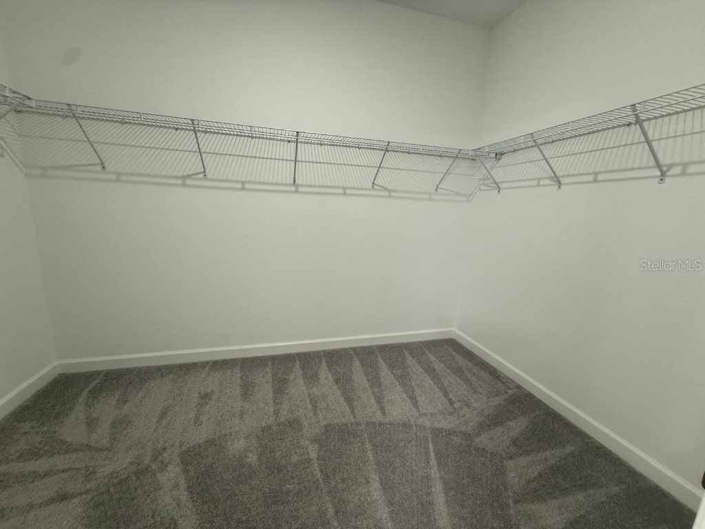 31740 Griffin Sands Lane San Antonio FL 33576 O6364294 image12