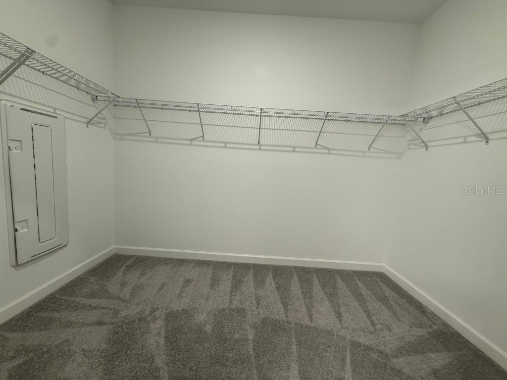 31740 Griffin Sands Lane San Antonio FL 33576 O6364294 image15