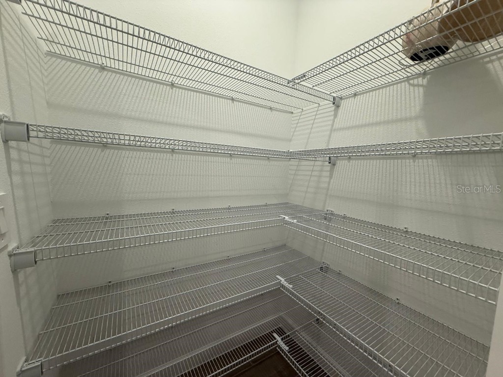 31740 Griffin Sands Lane San Antonio FL 33576 O6364294 image29