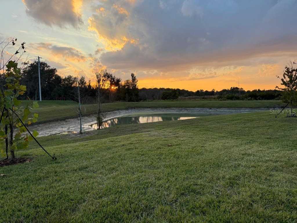 31740 Griffin Sands Lane San Antonio FL 33576 O6364294 image34