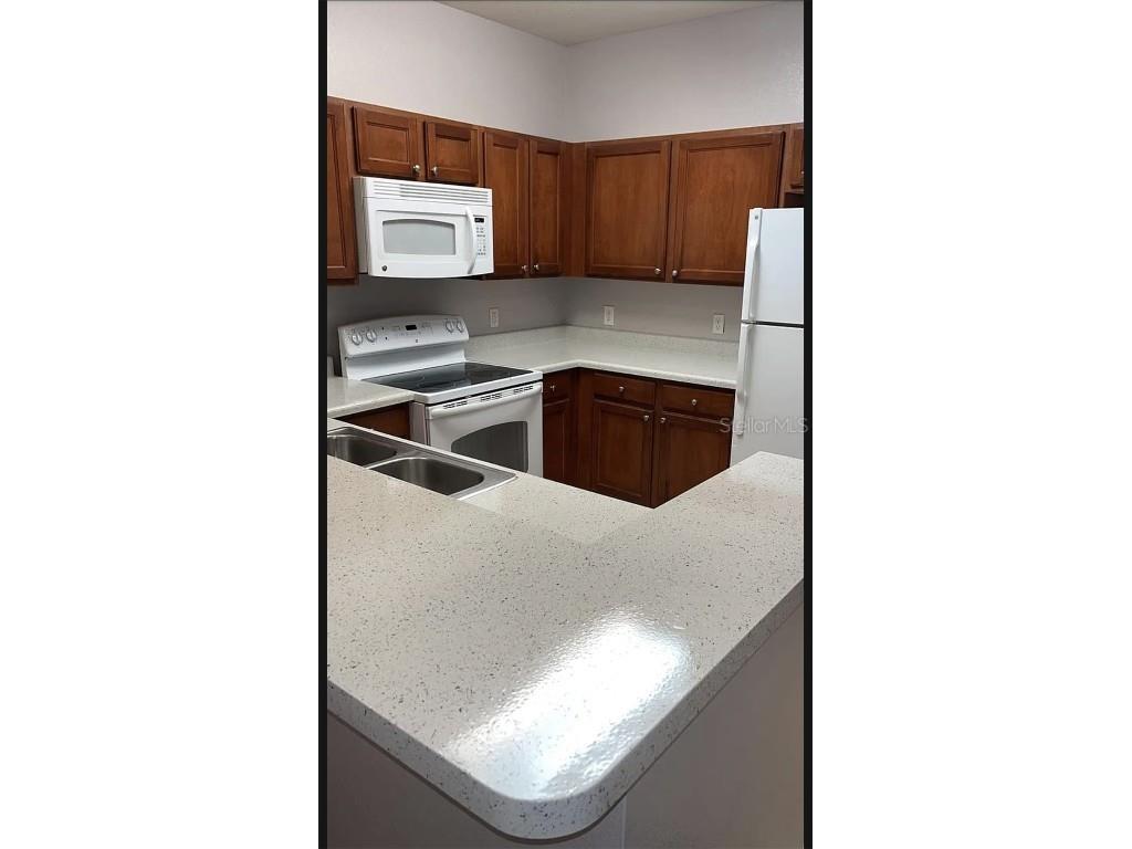 3175 Feltrim Place #203 Kissimmee FL 34747 S5139487 image9
