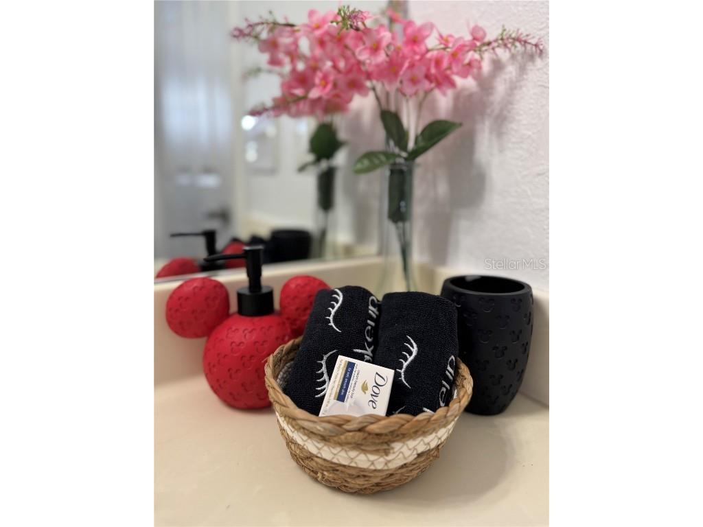 3175 Feltrim Place #402 Kissimmee FL 34747 S5138764 image14