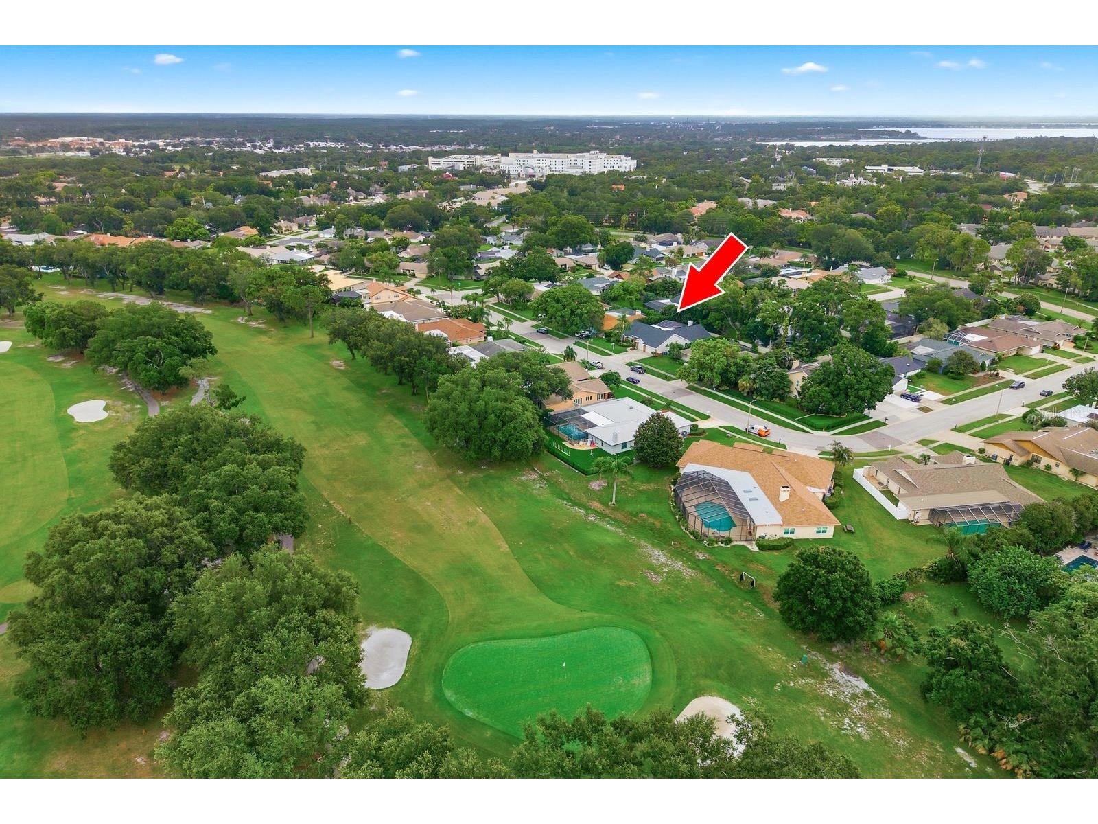 3175 Sandy Ridge Drive Clearwater FL 33761 TB8502852 image5