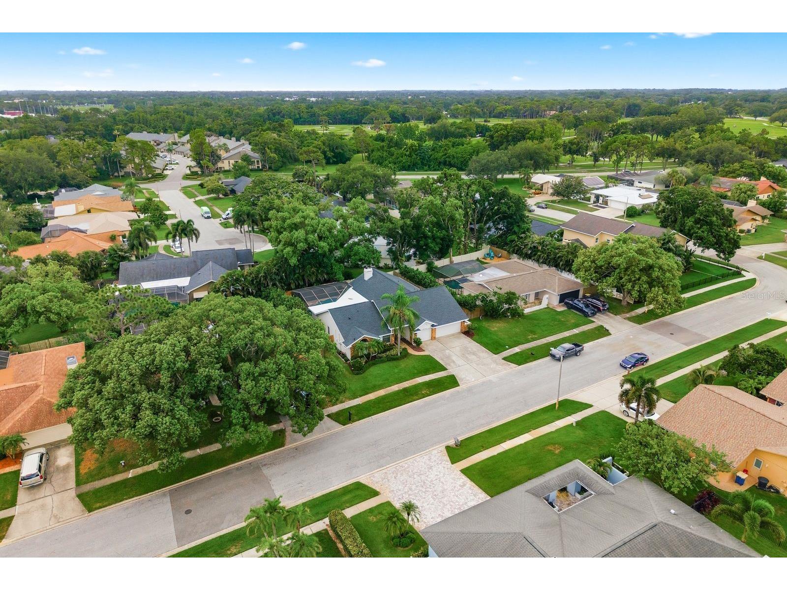 3175 Sandy Ridge Drive Clearwater FL 33761 TB8502852 image58