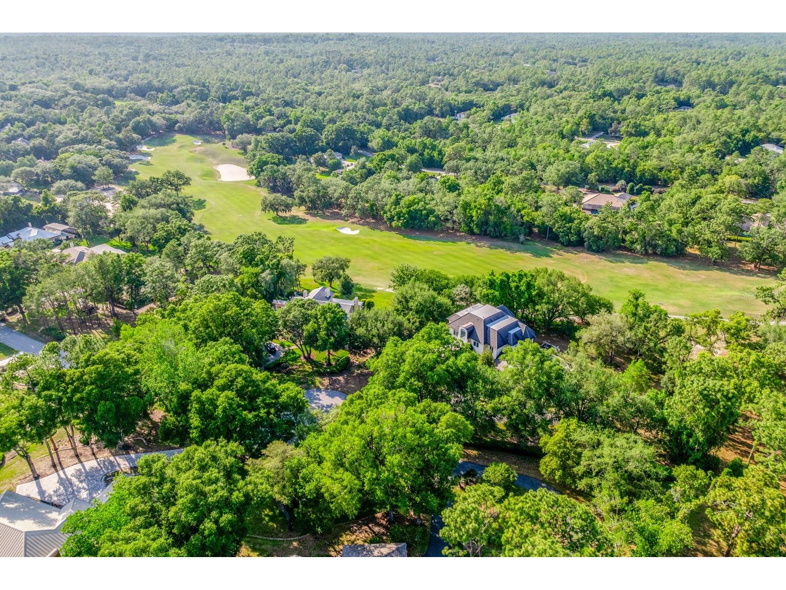 3175 W Pebble Beach Court Lecanto FL 34461 O6395864 image2