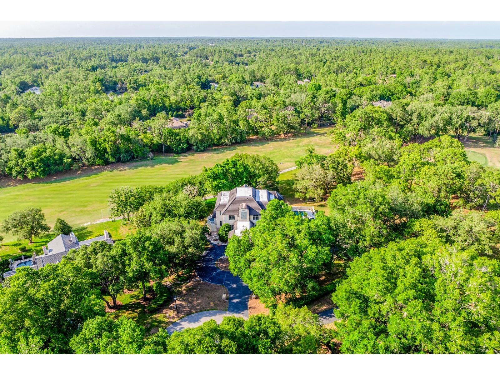 3175 W Pebble Beach Court Lecanto FL 34461 O6395864 image58