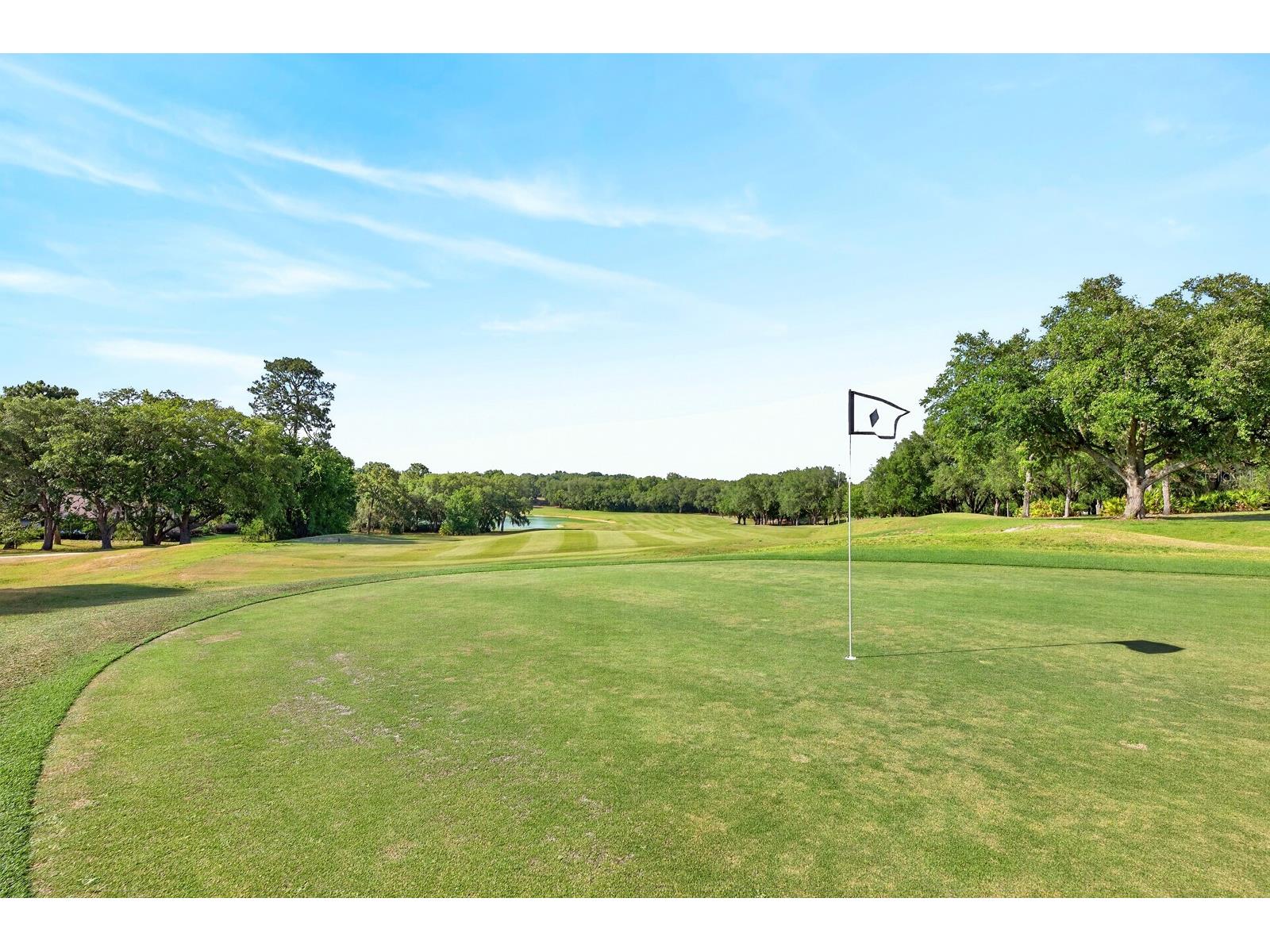 3175 W Pebble Beach Court Lecanto FL 34461 O6395864 image64