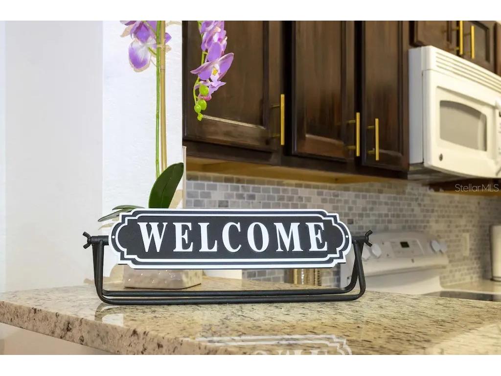 3176 Feltrim Place #101 Kissimmee FL 34747 S5144091 image6