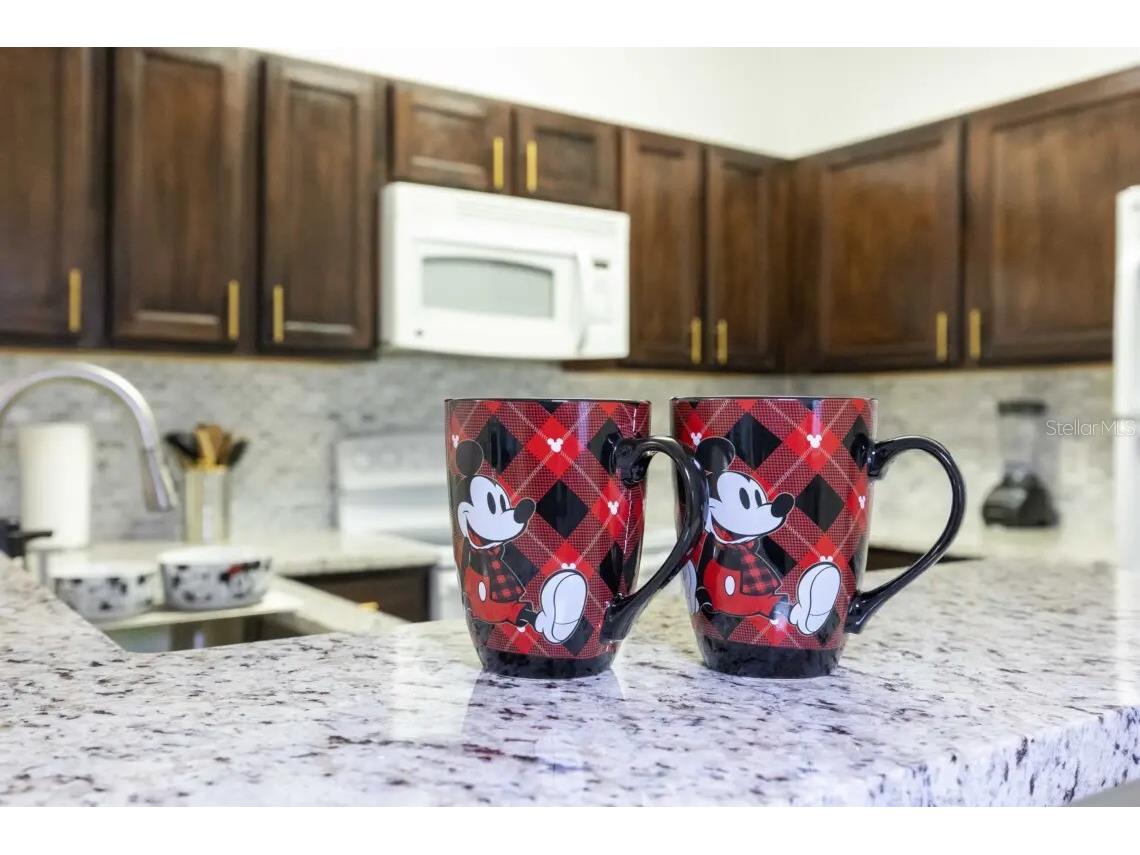 3176 Feltrim Place #101 Kissimmee FL 34747 S5144091 image8