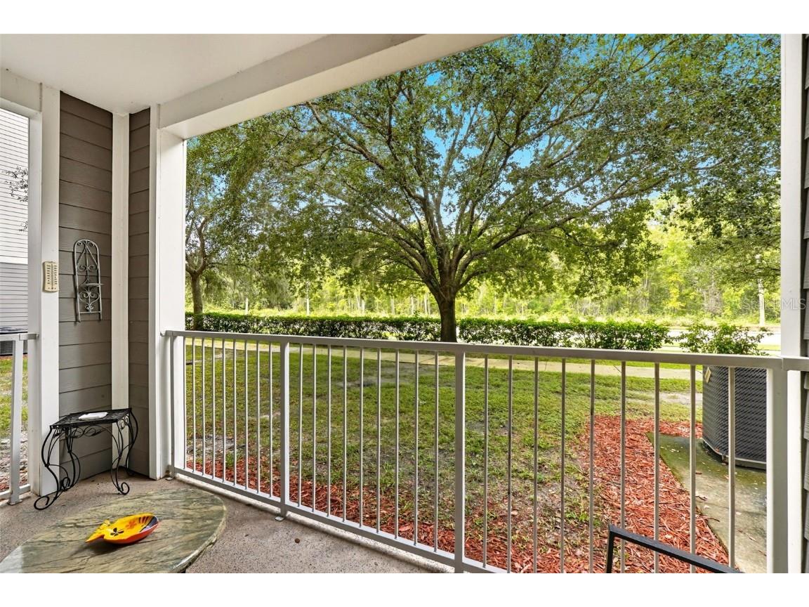 3176 Feltrim Place #102 Kissimmee FL 34747 O6351121 image24